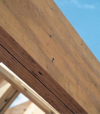 Dense southern pine LVL calls for a higher pressure setting on your nail gun. Even then, you may have to pound the heads flush.