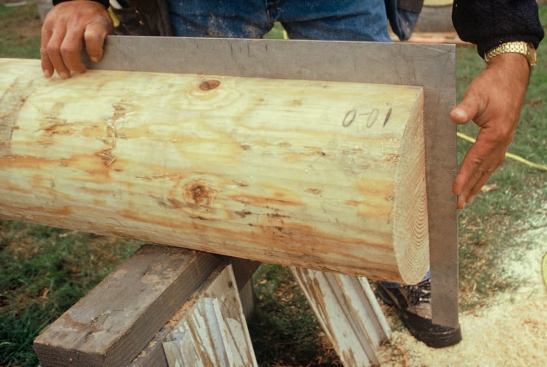 After making the cut, the carpenter checks for square, remembering to allow for any taper the log may have.
