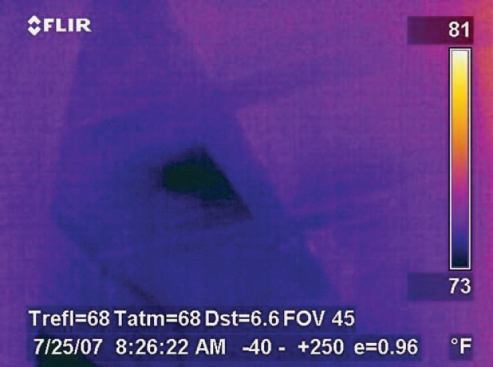 The dark spot in the infrared scan of the ceiling helped to pinpoint the source of the water.