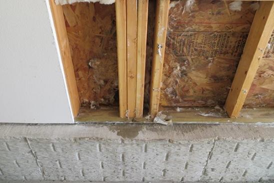A wet wall cavity was revealed, with mold-infested OSB.