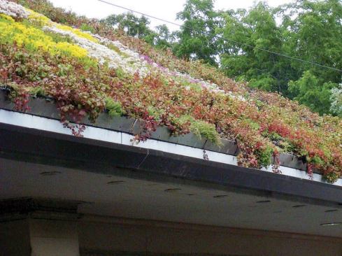 GLT roof panels are available for virtually any roof pitch. On this green roof, L-shaped aluminum brackets taped to the waterproofing layer finish the panel edges and help prevent wind uplift.