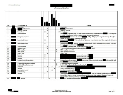 Timeline example
