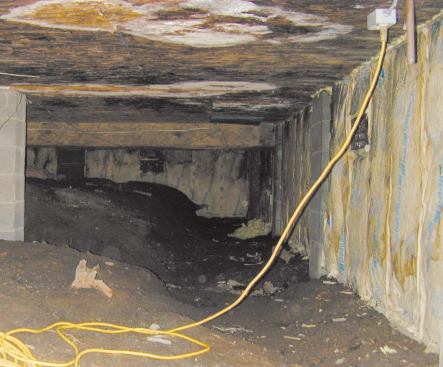 Upon opening the crawlspace door, the author saw large, obvious patches of white wood rot and black mold.