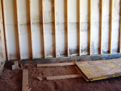 A little mold can go a long way toward wrecking a job.