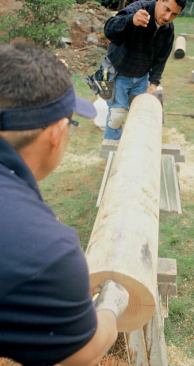 The points where these lines intersect the face of the log are joined with a chalk line.