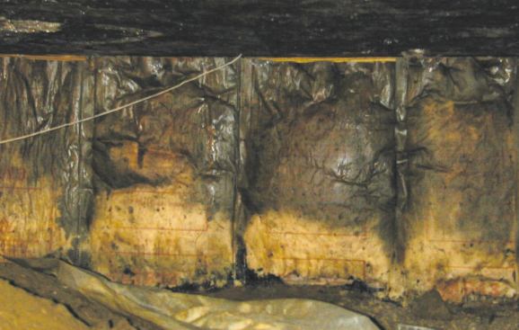 Mold on the face of insulation