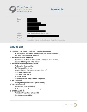 Example of part of an issues list.