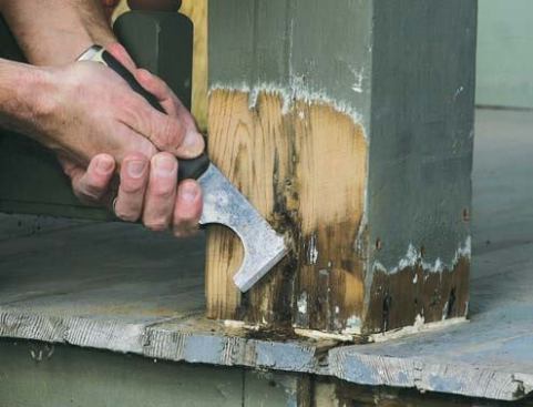 A painter’s 5-in-1 is the perfect tool to carve into rot-damaged wood and excavate the black, punky detritus.