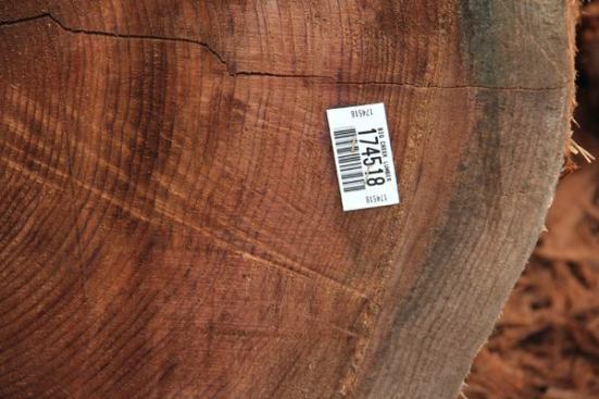 Those small white tags you saw on the logs in the previous photo are bar code labels that contain information about where the logs came from, who the logs came from, and other information of use to the mill.