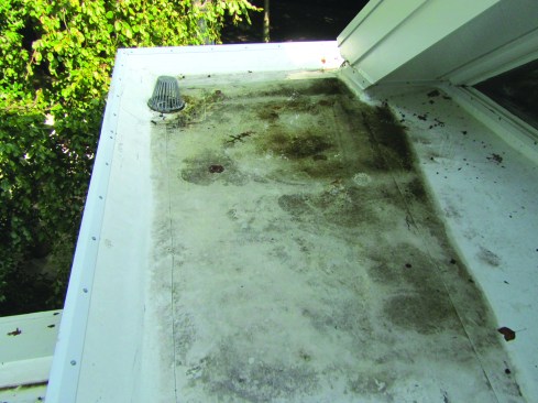 Leaves can collect around the base of a drain, even one covered with a leaf basket. The leaves then keep water from draining off the roof. 