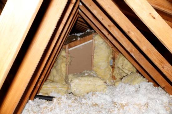 Yep, sure enough we have insulation fallen! Thanks Flir One!