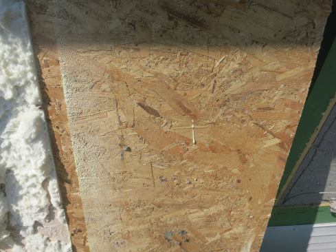 A close-up of OSB sheathing removed from contact with the low-density spray foam of the insulated wall cavity shows no sign of fungal attack at all, much less any deterioration that might compromise the sheathing’s function.