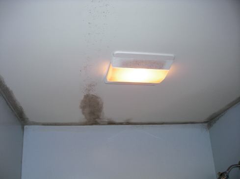 The oblong stain on the ceiling of the shared bath was curious.