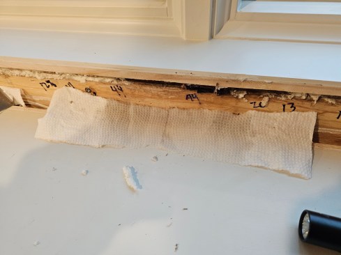 When it was removed, the paper towel was soaked.