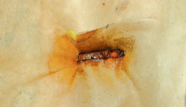 Even the staples holding insulation batts in place were rusty and gleaming with moisture.