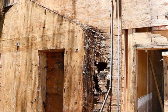 Transitions from wall to roof obviously were not dealt with properly. Major rot here.