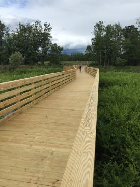 A view back toward the parking area for the Round Lake Preserve  boardwalk .