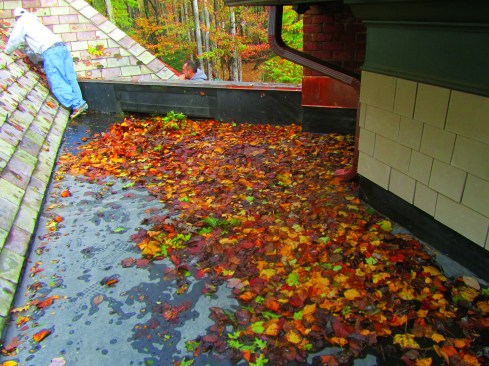 Though this scupper was about 4 feet wide, it was only 4 inches tall and was quickly blocked by accumulating leaves.