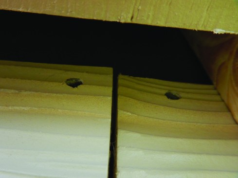 Many of the blind nails, like the ones in the photo, were overdriven.