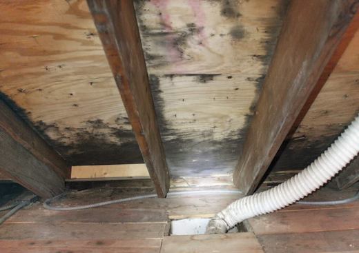Leaks around bath ceiling fans introduce moisture as well as heat, as evidenced by mold on the sheathing in this attic.