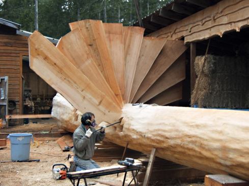 Because they've evolved to bend in the wind, large trees are surprisingly flexible.