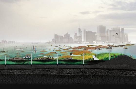 A reef constructed from rock and shell piles to host oyster growth, as seen in a rendering for a proposal in Brooklyn.