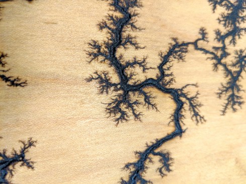 The fractal (for math whizzes, it’s not really a fractal, but it gets called that because it looks like a fractal) pattern shows up better in lighter colored woods. You can even burn gourds.