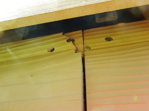 When a fastener is placed too close to an edge, the material tends to break around the fastener.