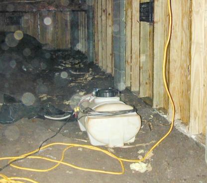 The author's old battery-powered sprayer is small enough to drag into hard-to-access spaces.