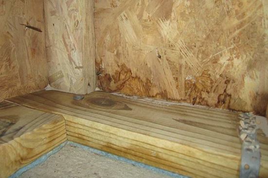 Damage to the OSB near the foundation sills was visible.