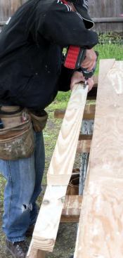 Bottom: I glued and screwed them together, as I did with the sides.