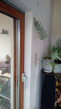 Even most glass sliding doors had triple-pane glass and tilt-and-turn functionality.