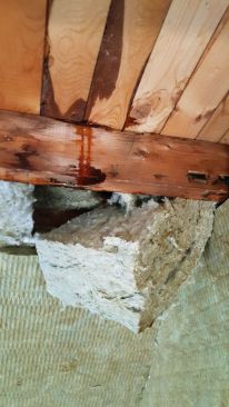 When the author’s crew exposed the underside of the cathedral roof sheathing, they saw what appeared to be a roof leak.