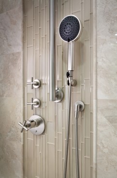 The threshold isnât the only thing to think about in the shower: Glickman notes that itâs important to include a handheld shower and consider the position and accessibility of the controls.