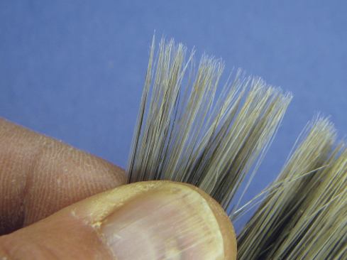 Synthetic bristles are often shaved down to a sharp point and flagged like a split end. 