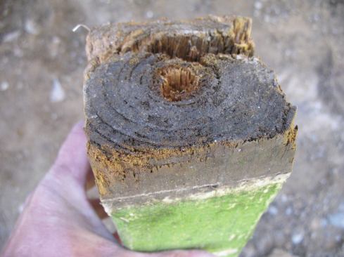 Even though PT posts are treated for ground-contact, end grain will wick up moisture and is particularly vulnerable to rot.