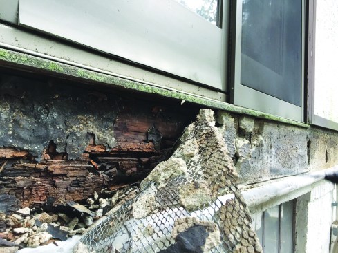 It revealed considerable damage to the sheathing ...