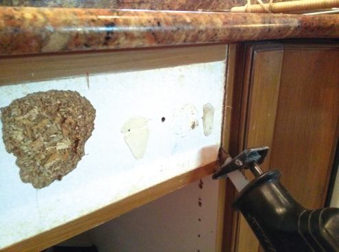 Removing the face of the cabinet is necessary to gain access to the underside of the granite. 