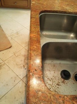 The final step is to polish the repaired area.