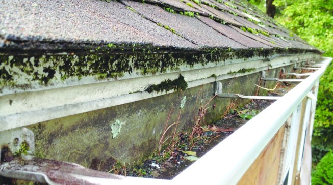 The drip edge was installed tight to the fascia.