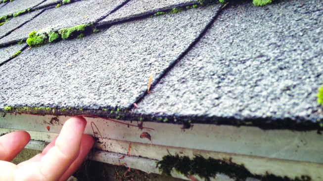 It was directing water behind the gutters, causing saturation and major damage in the house walls.