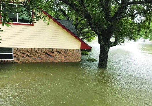 Up to the eyebrows. The author’s house, which backs onto a creek in Friendswood, Texas, flooded 5 feet deep in Hurricane Harvey.