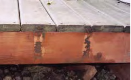 These pockets trap moisture and debris, which can cause rot.