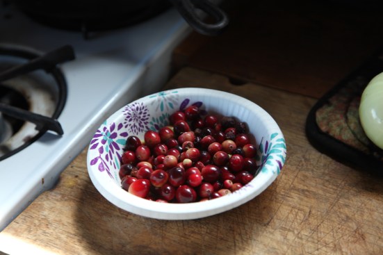 Fresh wild cranberries from just a couple minutes picking in one of the bogs.