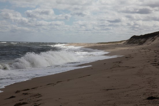 The beach and the ocean are just a few hundred yards from the shack. It is not unusual to see no other people in either direction for miles.