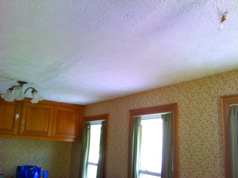 A water stain caused by an ice dam is clearly visible on the ceiling.