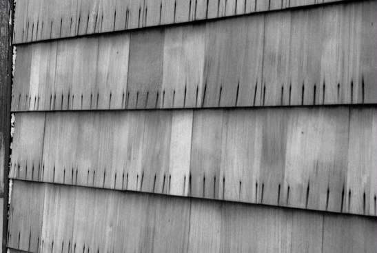 Bleeding is caused by excessive moisture in siding, which reacts to the iron in nails. The staining is caused when a high moisture content in wood dissolves the wood’s naturally occurring extractives — pigments, tannins, oils, and resins. To prevent bleeding, keep siding dry before installation. Back-prime to help seal extractives in the wood, and install the siding on a rain screen to promote drying. Seal or paint the wood when it is dry and maintain the finish to keep wood dry over time.