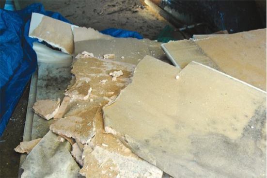 In moderate temperatures, water-soaked materials can easily develop mold before they are able to dry. Mold discovered during cleanup should treated—preferably by a mold remediation specialist— and removed from the building.