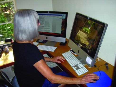 Estimating with your labor productivity records organized in computer files enables you to more easily include photos of the project with each record. Using two computer screens, one for your productivity records and the other for your spreadsheet, allows you to move more efficiently from spreadsheet to records and back.