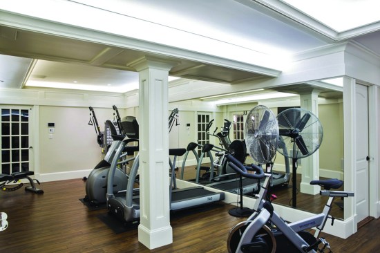 Color-tunable lights for the home gym are suitable for either a vigorous morning workout or a relaxing evening yoga session.